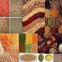 Dals & Pulses