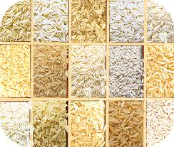 Rice & Rice Products