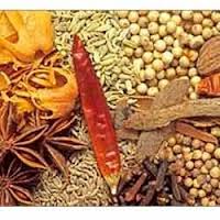 Spices & Seasonings