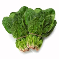 Spinach (Palak)