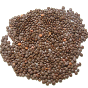 Masoor Black Large Regular 1