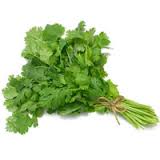 Coriander (Dhaniya)