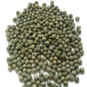 Matar Green 1