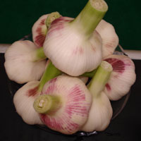 Garlic China (Lahsun)