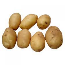 Potato
