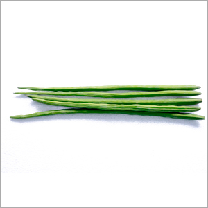 Drum Sticks