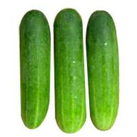 Cucumber