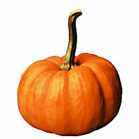 Pumpkin (Petha/ Kaddu)