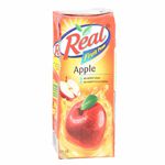 Real Apple Nectar Juice