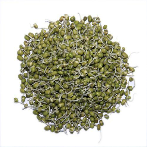 Sprouts