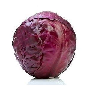 Red Cabbage