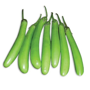 Green Brinjal