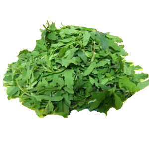 Bathua (Lamb's Quarter's)