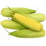 Sweet Corn