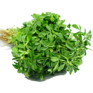 Methi