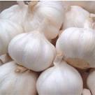 Garlic Indian (Desi Lahsun)