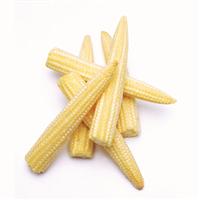 Baby Corn