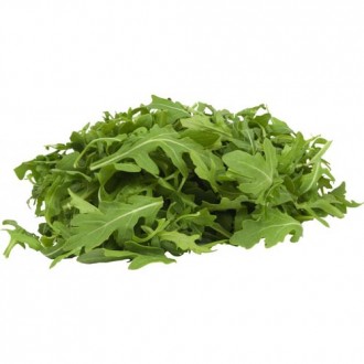 Rocket/ Rocquette (Arugula)