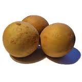 Sapota (Cheeku)