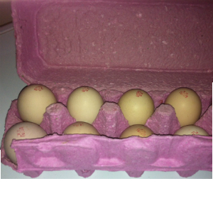 Eggs Brown&nbsp;10-Number