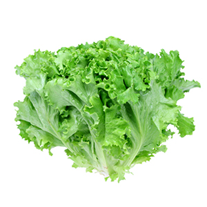 Green Lettuce