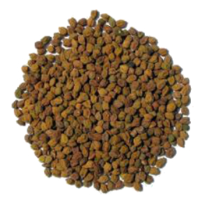 Chana Kala 1