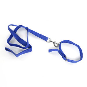 Robust Nylon Leash - Medium