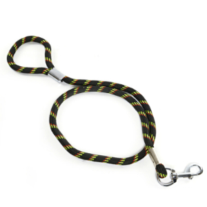 Robust Dog Lead (Blue)