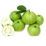 Guava&nbsp;500-GMS