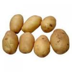 Potato