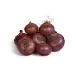 Onion&nbsp;500-GMS