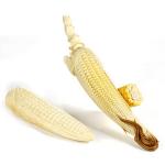 Whole Corn Cob&nbsp;1-KG