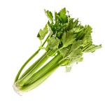 Celery&nbsp;500-GMS
