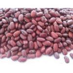Rajma Jammu Regularl 1&nbsp;1-Kg