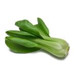Bok Choy (Chinese Cabbage)&nbsp;500-GMS