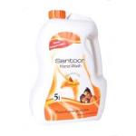 Santoor Essential Oils Handwash