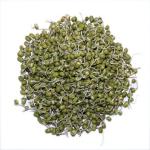 Sprouts&nbsp;200-GMS