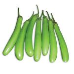 Green Brinjal&nbsp;500-GMS