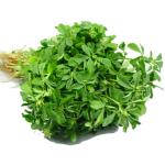 Methi&nbsp;500-GMS