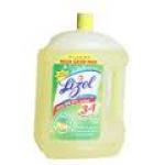 Lizol Disinfectant&nbsp;2-LTR