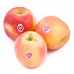Apple (Fiji)&nbsp;500-GMS