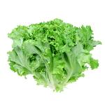 Green Lettuce&nbsp;500-GMS