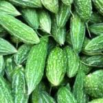 Bitter Gourd (Karela)&nbsp;500-GMS
